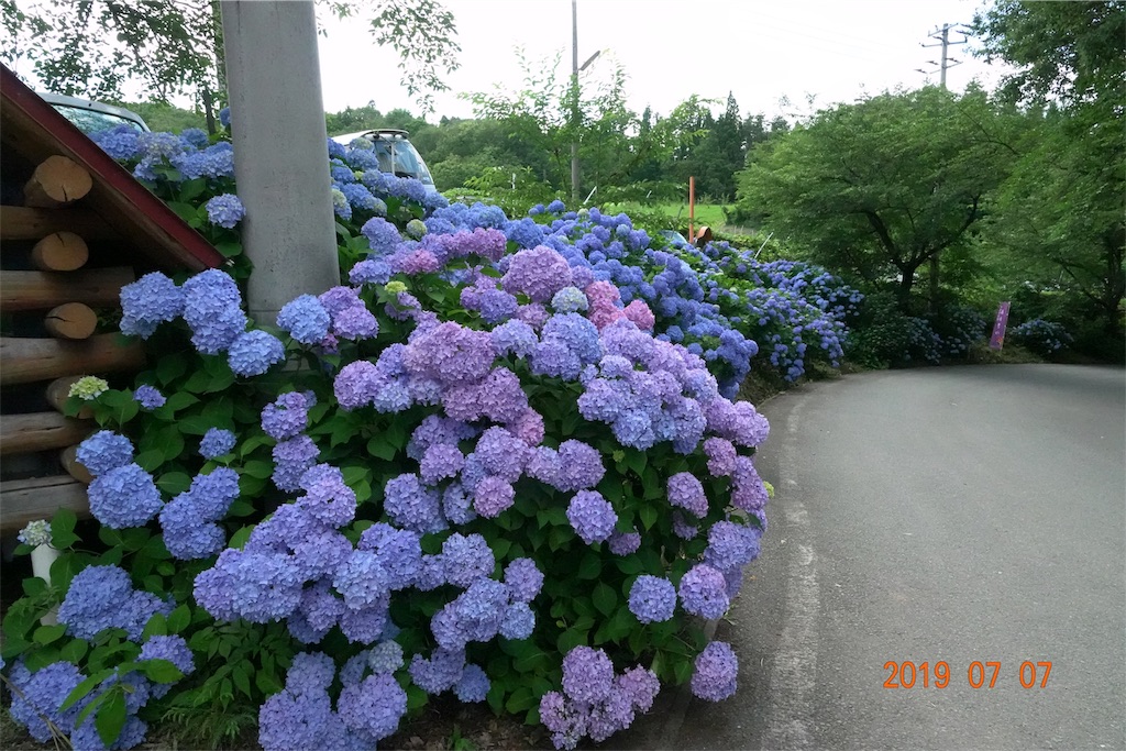 f:id:yamagasuki26:20190923130206j:image f:id:yamagasuki26:20190923130206j:image