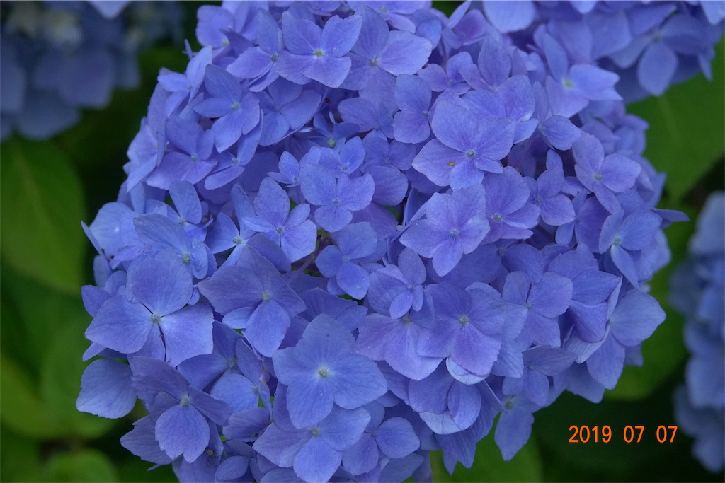 f:id:yamagasuki26:20190923130755j:image f:id:yamagasuki26:20190923130755j:image