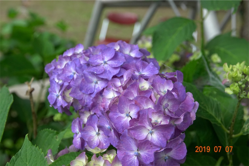 f:id:yamagasuki26:20190923130800j:image f:id:yamagasuki26:20190923130800j:image