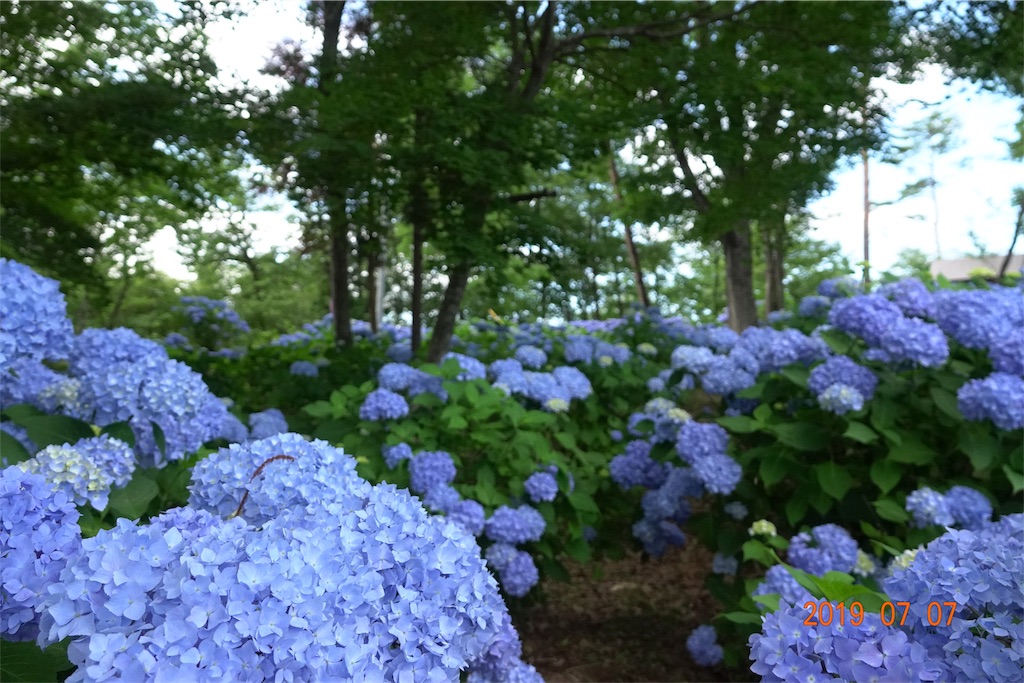 f:id:yamagasuki26:20190923134254j:image f:id:yamagasuki26:20190923134254j:image