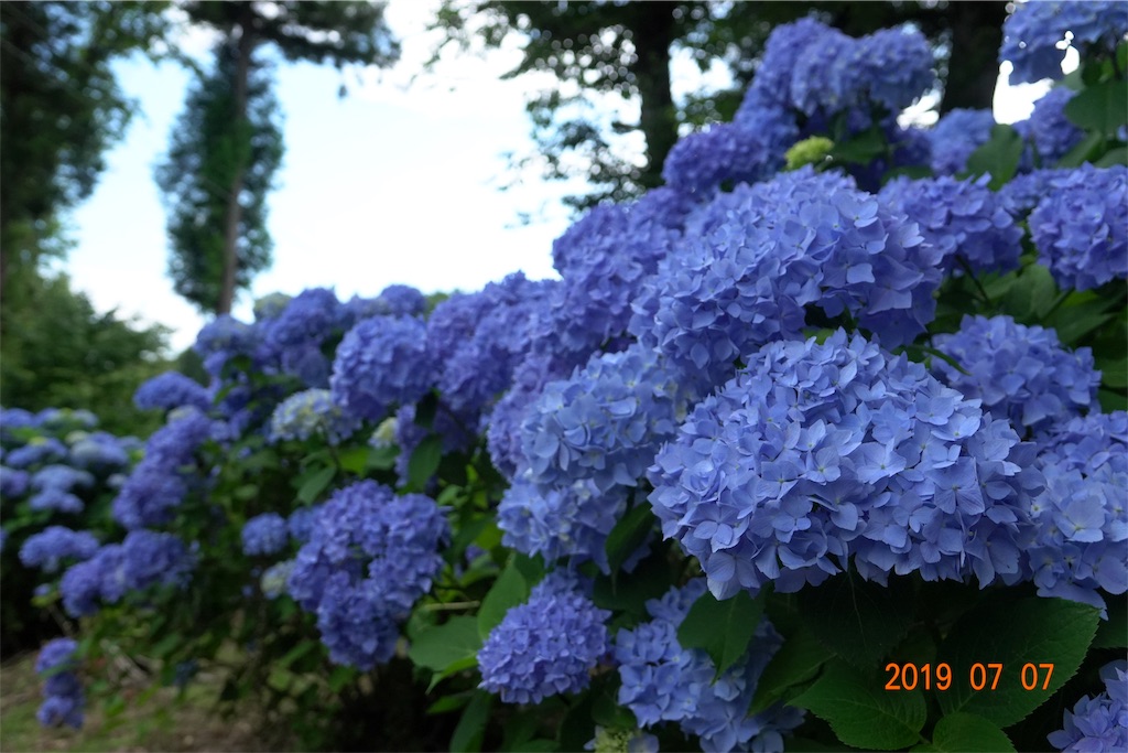 f:id:yamagasuki26:20190923134301j:image f:id:yamagasuki26:20190923134301j:image