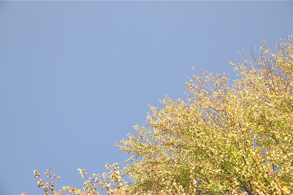 f:id:yamagasuki26:20191002162007j:image f:id:yamagasuki26:20191002162007j:image