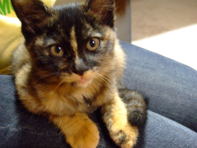 f:id:yamagatamyclus:20090929164646j:image f:id:yamagatamyclus:20090929164646j:image