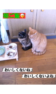 f:id:yamagatamyclus:20110320140753j:image f:id:yamagatamyclus:20110320140753j:image