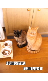 f:id:yamagatamyclus:20110320140843j:image f:id:yamagatamyclus:20110320140843j:image