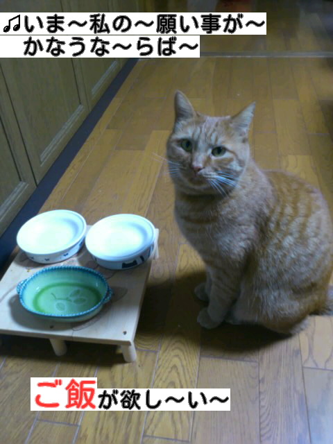 f:id:yamagatamyclus:20121202181716j:image f:id:yamagatamyclus:20121202181716j:image