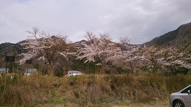 イメージ 2