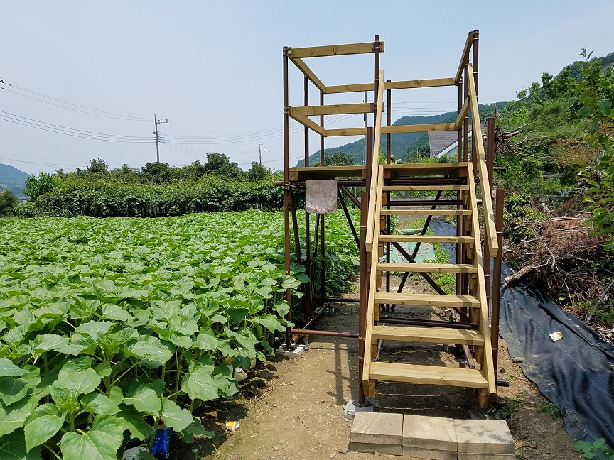 f:id:yamaguchinouen:20180627231634j:plain f:id:yamaguchinouen:20180627231634j:plain