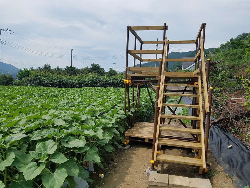 f:id:yamaguchinouen:20180627232315j:plain f:id:yamaguchinouen:20180627232315j:plain