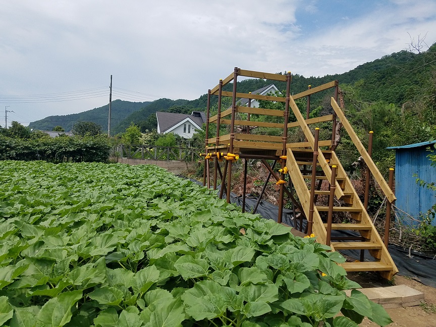 f:id:yamaguchinouen:20180627232346j:plain f:id:yamaguchinouen:20180627232346j:plain