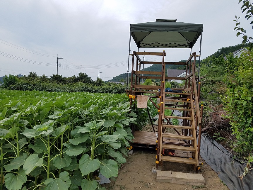 f:id:yamaguchinouen:20180703223856j:plain f:id:yamaguchinouen:20180703223856j:plain