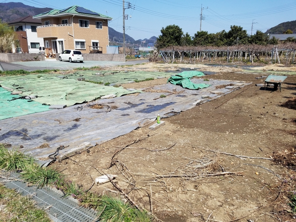 f:id:yamaguchinouen:20180730220909j:plain f:id:yamaguchinouen:20180730220909j:plain