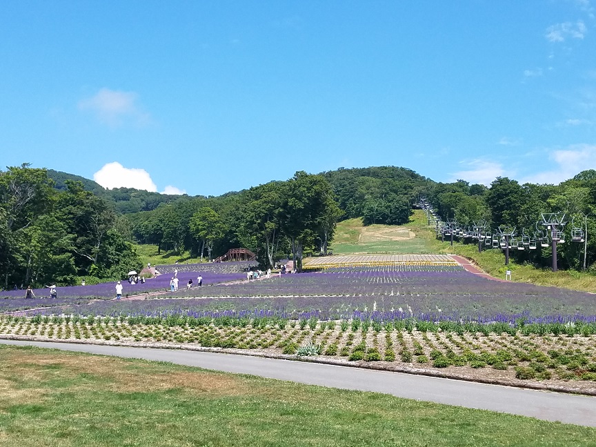 f:id:yamaguchinouen:20180806212319j:plain f:id:yamaguchinouen:20180806212319j:plain