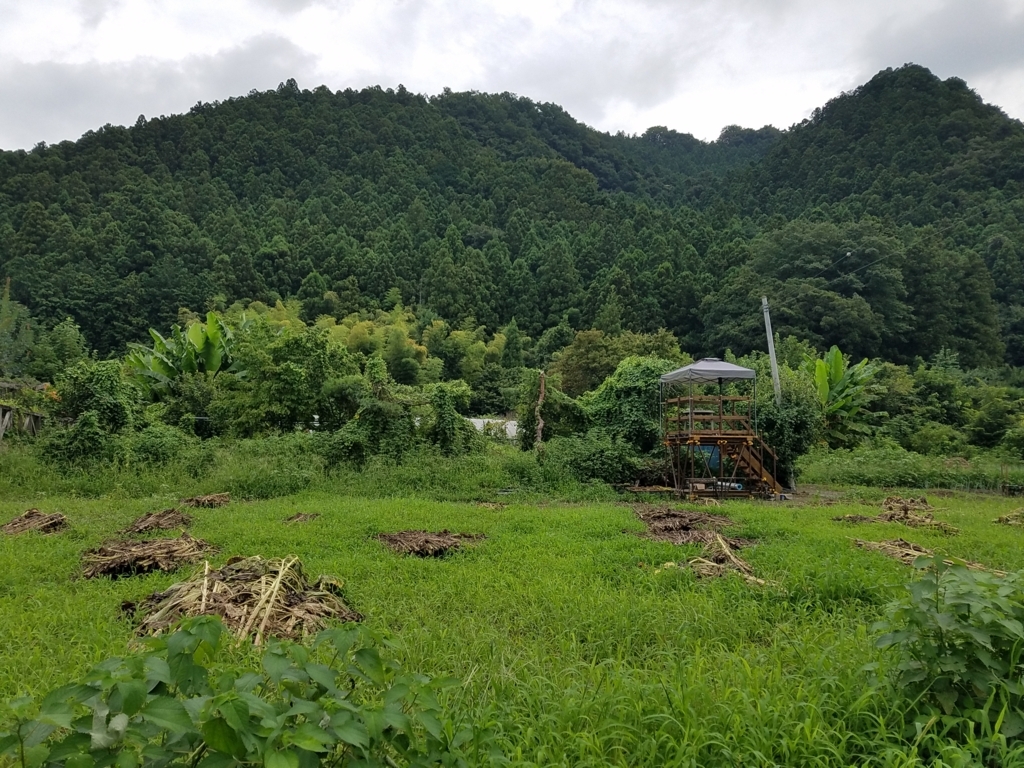 f:id:yamaguchinouen:20180816221513j:plain f:id:yamaguchinouen:20180816221513j:plain