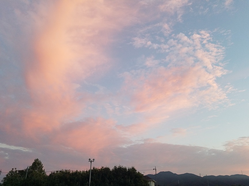 f:id:yamaguchinouen:20180927211201j:plain f:id:yamaguchinouen:20180927211201j:plain