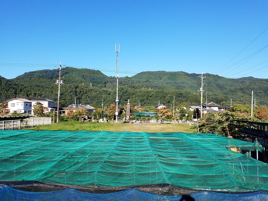 f:id:yamaguchinouen:20181002224709j:plain f:id:yamaguchinouen:20181002224709j:plain
