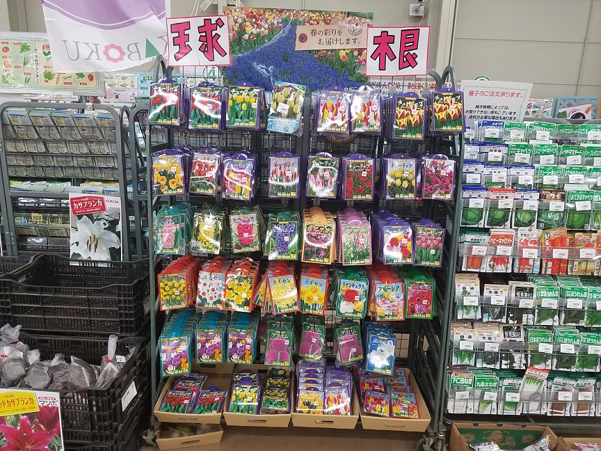 f:id:yamaguchinouen:20181028205435j:plain f:id:yamaguchinouen:20181028205435j:plain