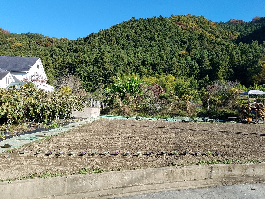 f:id:yamaguchinouen:20181114222553j:plain f:id:yamaguchinouen:20181114222553j:plain