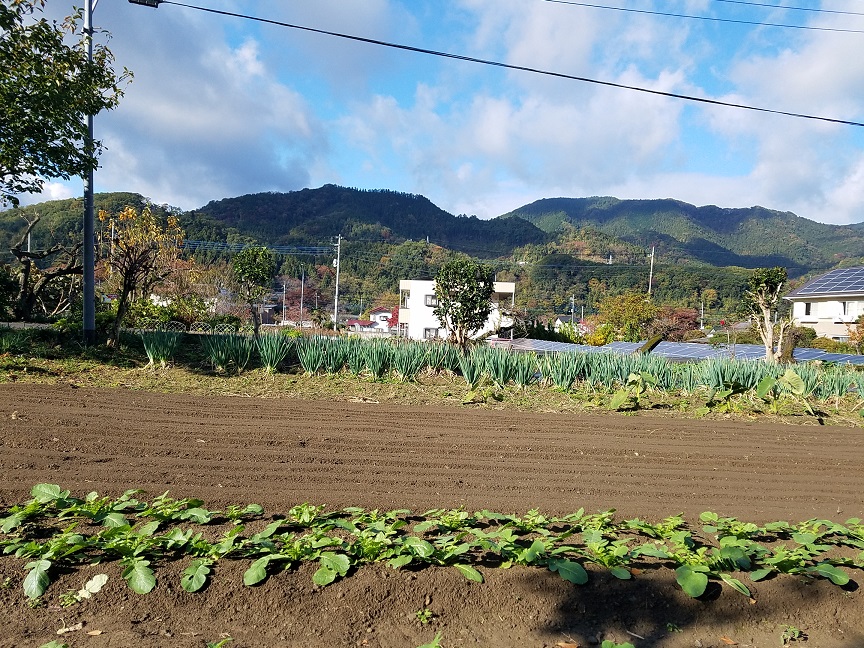 f:id:yamaguchinouen:20181114223207j:plain f:id:yamaguchinouen:20181114223207j:plain