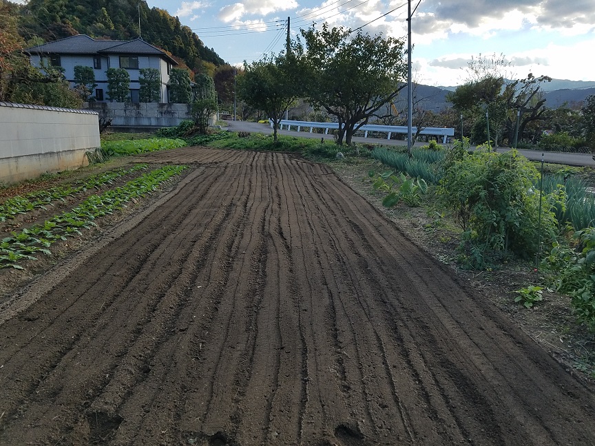 f:id:yamaguchinouen:20181114223510j:plain f:id:yamaguchinouen:20181114223510j:plain