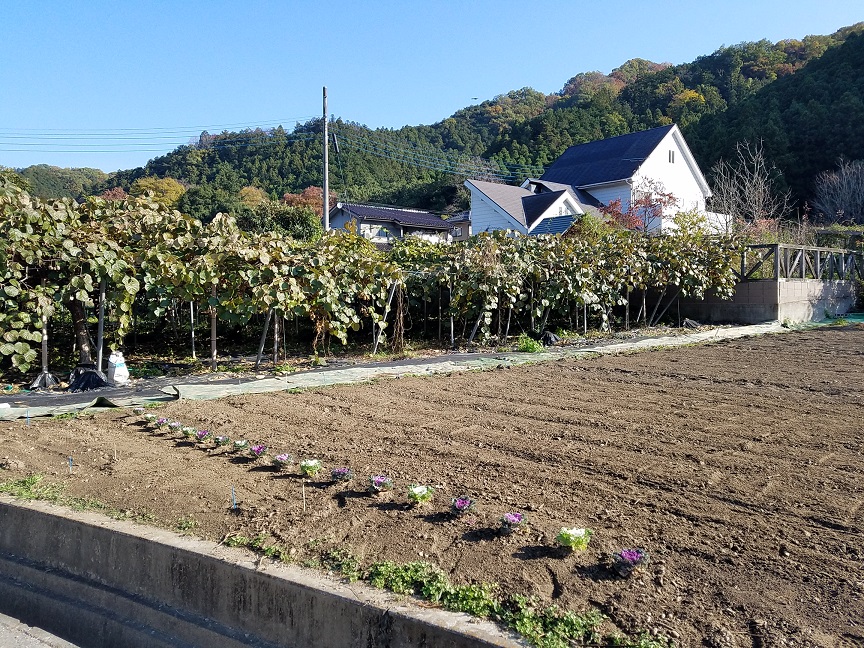 f:id:yamaguchinouen:20181116200647j:plain f:id:yamaguchinouen:20181116200647j:plain