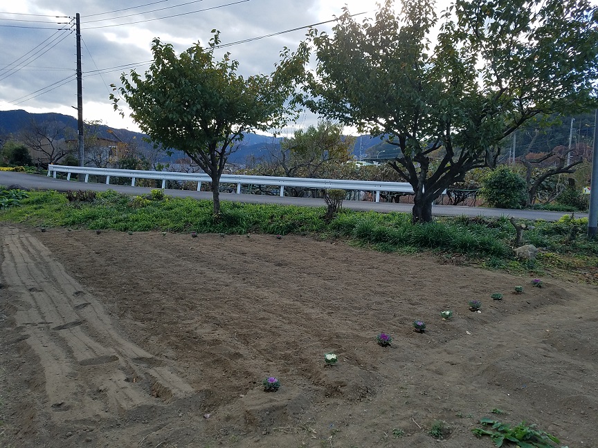 f:id:yamaguchinouen:20181120222850j:plain f:id:yamaguchinouen:20181120222850j:plain