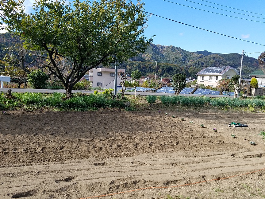 f:id:yamaguchinouen:20181120222936j:plain f:id:yamaguchinouen:20181120222936j:plain