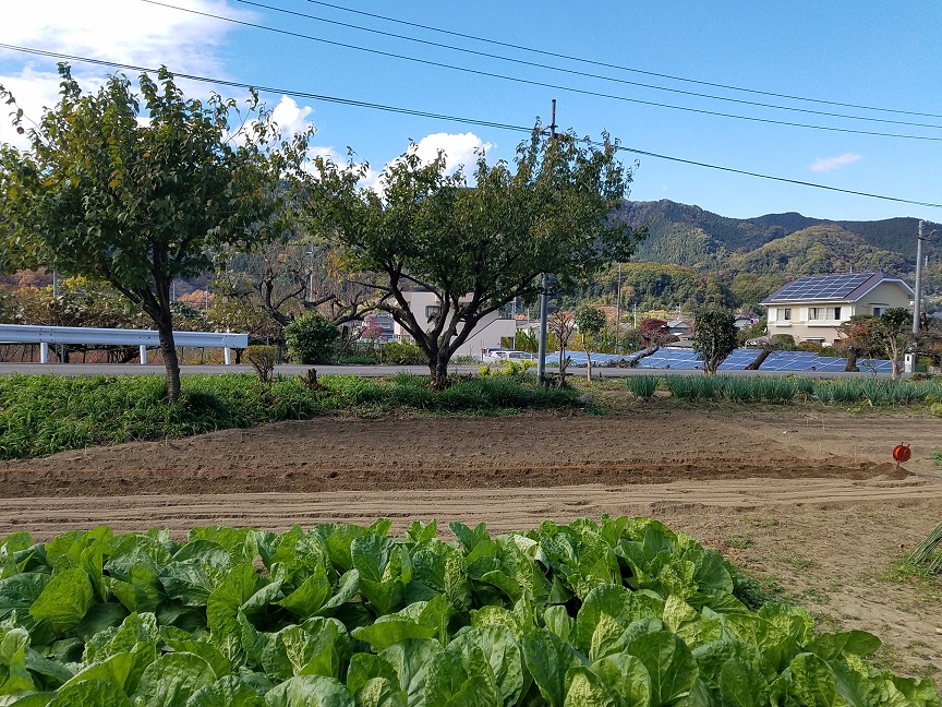f:id:yamaguchinouen:20181120223455j:plain f:id:yamaguchinouen:20181120223455j:plain