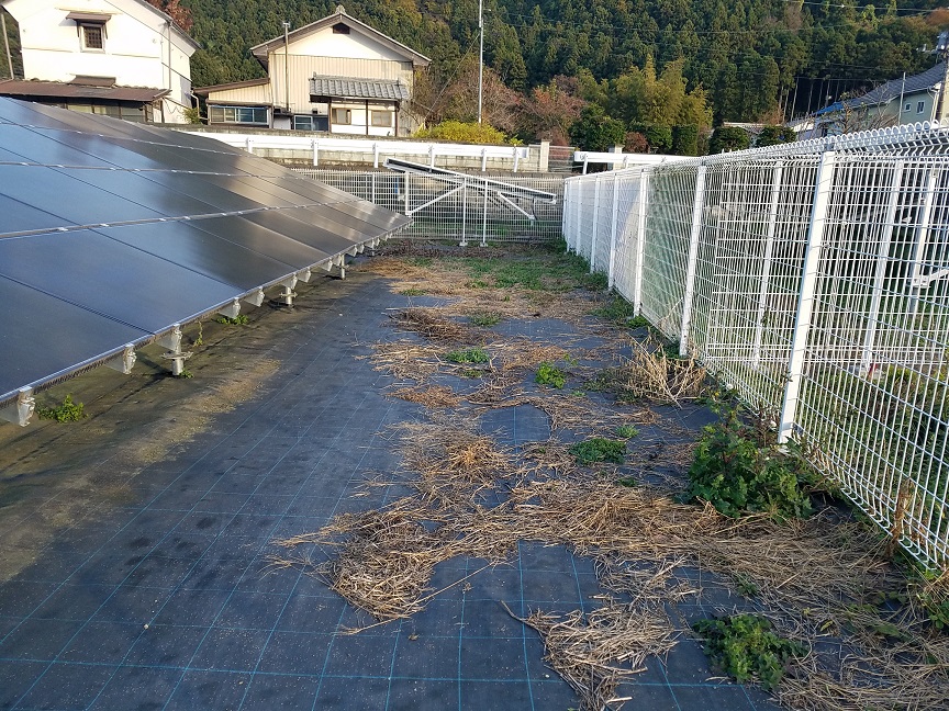 f:id:yamaguchinouen:20181125224252j:plain f:id:yamaguchinouen:20181125224252j:plain