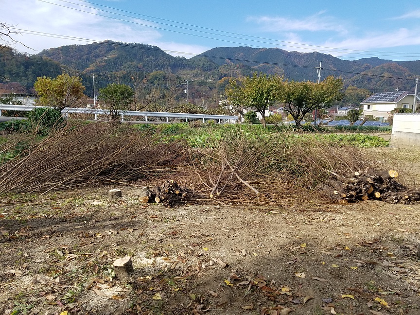 f:id:yamaguchinouen:20181126211249j:plain f:id:yamaguchinouen:20181126211249j:plain