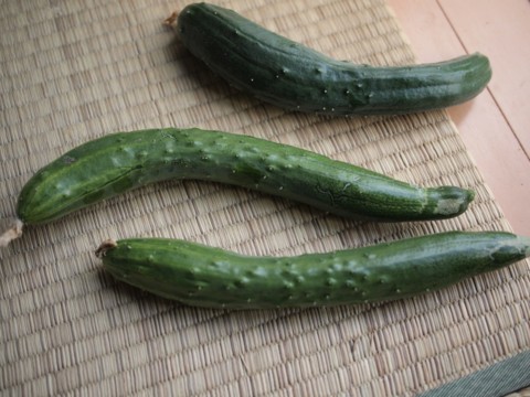 f:id:yamagw:20120710093419j:image
