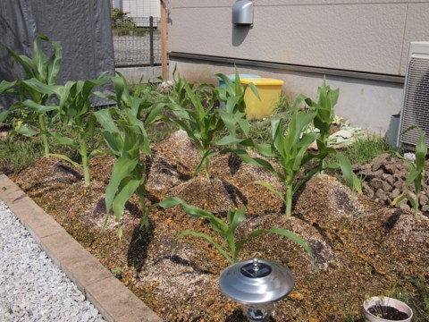 f:id:yamagw:20120710093427j:image