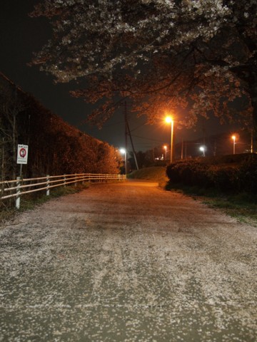 f:id:yamagw:20150409233701j:image