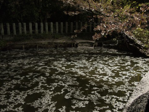 f:id:yamagw:20150409233703j:image