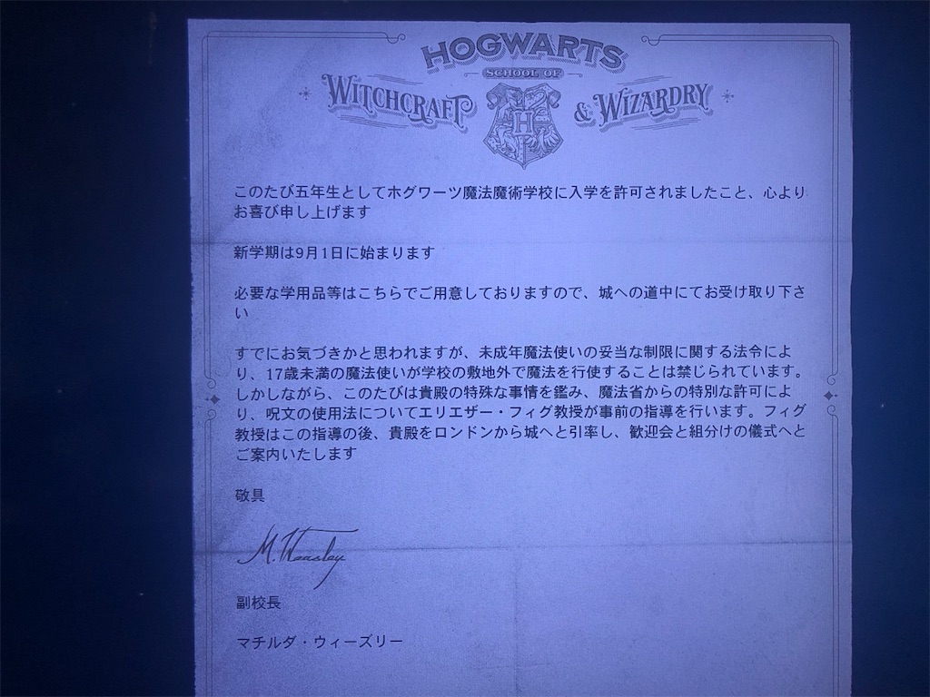 ホグワーツレガシーネタバレ① - 頭ヤベンジャーズ～人生エンドゲーム～, image size:1024x768