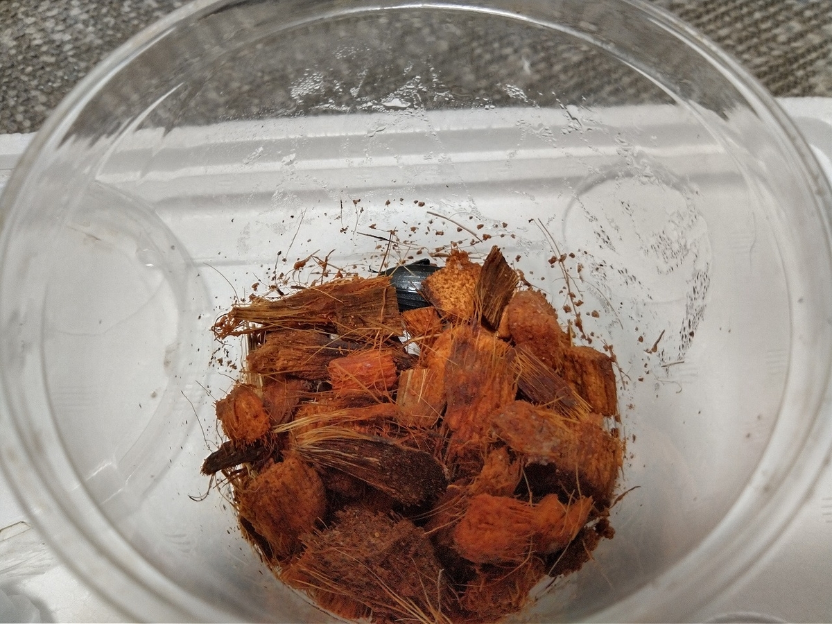 f:id:yamaheikoh:20201101194954j:plain f:id:yamaheikoh:20201101194954j:plain