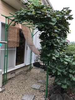 f:id:yamahiro0504:20190715084250j:plain f:id:yamahiro0504:20190715084250j:plain