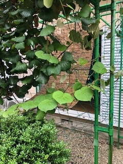 f:id:yamahiro0504:20190715084300j:plain f:id:yamahiro0504:20190715084300j:plain