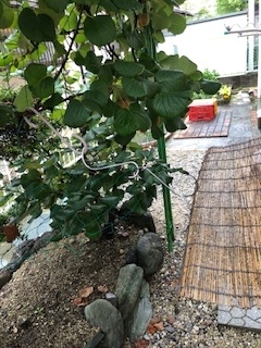 f:id:yamahiro0504:20190715084307j:plain f:id:yamahiro0504:20190715084307j:plain