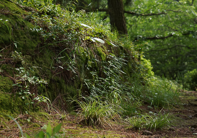 f:id:yamahito88:20200823192217j:plain