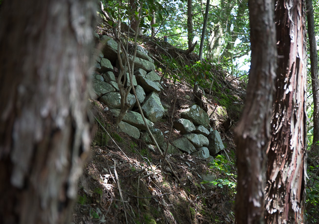 f:id:yamahito88:20210708221531j:plain