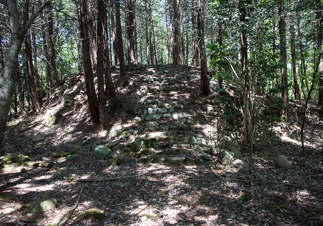 f:id:yamahito88:20210708221617j:plain