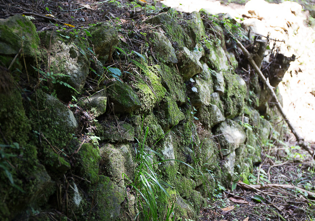 f:id:yamahito88:20210711223124j:plain