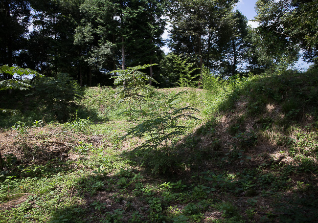 f:id:yamahito88:20210711223155j:plain