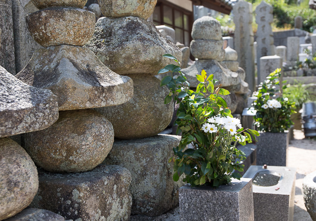 f:id:yamahito88:20210711224955j:plain