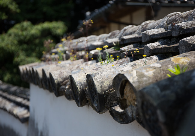 f:id:yamahito88:20210801055630j:plain