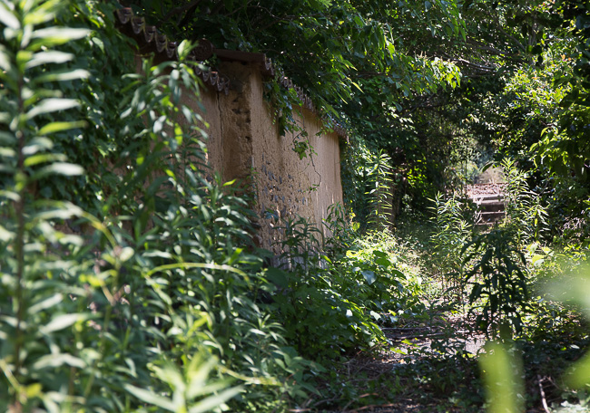 f:id:yamahito88:20210801055724j:plain