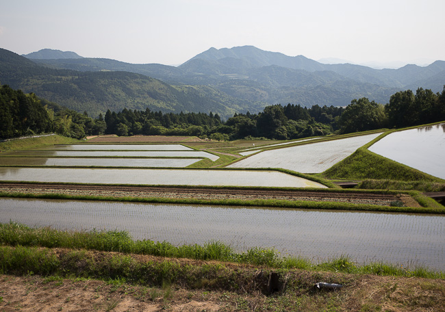 f:id:yamahito88:20210801060213j:plain