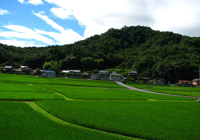 f:id:yamahito88:20220102132507j:plain