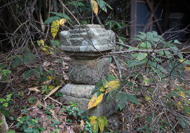 f:id:yamahito88:20220102161130j:plain